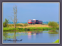 Moorexpress mit Sommerspiegelung