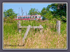 Sommerfahrt - der Moorexpress fährt von Mai bis Oktober