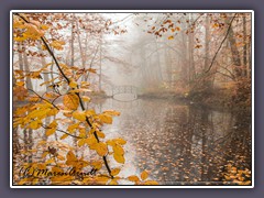 Bredbeck - Herbst im Park 