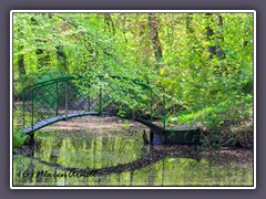 Bredbeck - Naturteich im Park von Bredbeck