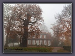 City - Bördestraße im Nebel