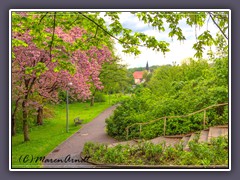 City -Frühling im Stadtpark