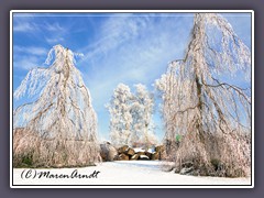 Das Hünengrab im Winter