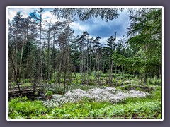 Garlstedt - Moorsee