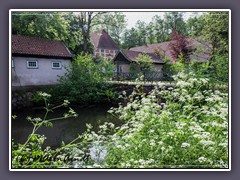 Gut Sandbeck - Frühling