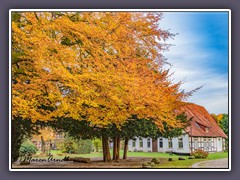 Museumsanlage - herbstlicher Park