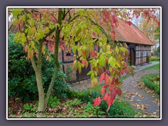 Museumsanlage - Herbstliches Ambiente vor dem Mitmachmuseum