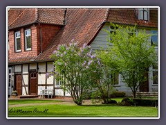 Museumsanlage und norddeutsches Vogelmuseum