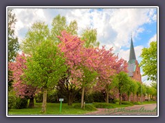 Kuhstedt - Die Kirche im Frühling