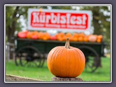 Ohlenstedt - Kürbisfest immer am letzten Wochenende im September