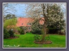 Teufelsmoor - Das kleine Haus im Moor