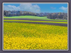 Worpswede - 
Frühling am Weyerberg