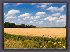 Teufelsmoor - Hammeweg