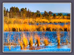 Huvenhoopsmoor - Renaturierter Moorsee