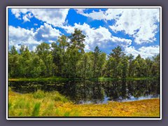 Teufelsmoor - Niedersandhauser Moor