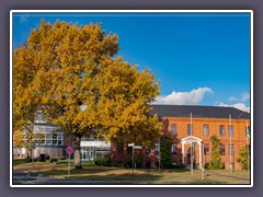 Osterholz-Scharmbeck  - Rathaus im Herbst