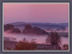 Sonnenaufgang - Nebel steigt aus den Wiesen