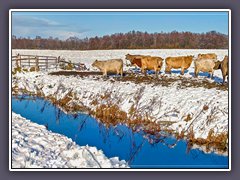 Teufelsmoor  -  Landwirtschaft im Winter