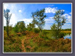 Teufelsmoor - im Hamberger Moor