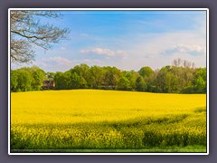 Teufelsmoor - Landwirtschaft