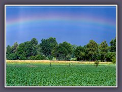 Teufelsmoor - Regenbogen