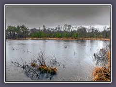 Teufelsmoor - Regenwetter im Hamberger Moor