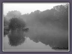 Torfkahn im Nebel