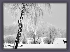 Winter auf dem Land