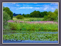 Breites Wasser - Naturschutzgebiet