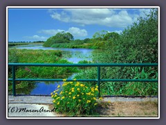 Breites Wasser - Sommer