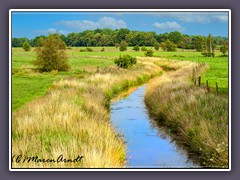 Giehler Bach - Oberlauf der Hamme