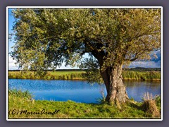 Hammefeeling - Weyerbergblick