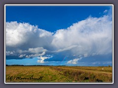 Hoher Himmel - Spaziergang in den Hammewiesen