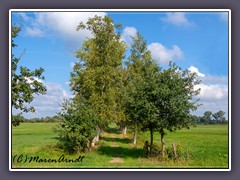 Worpswede - Sommer an der Weyermoorerstraße