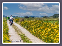 Wege ins Moor - Begegnung