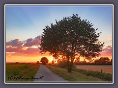 Wege ins Moor - Sundown