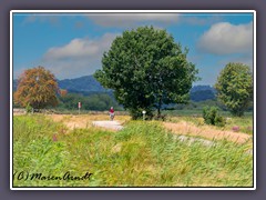 Wege ins Moor - Wiesenweg