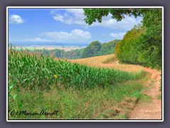 Worpswede - Weg auf dem Weyerberg