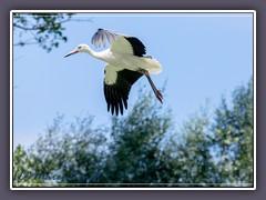 Anflug im Gegenwind