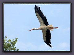 Fliegen müsste man können