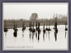 Torfkahnarmada auf dem Weg nach Bremen