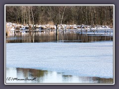 Hamberger Moor - Winterlook