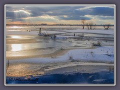 Hammewiesen - Winterüberschwemmung