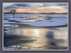 Hammewiesen - Winterwiesen