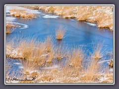 Huvenhoopsmoor - Winterzauber