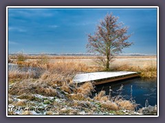 Kirchdammgraben - ein Winterhauch