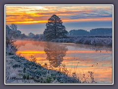 Kirchdammgraben - goldener Morgen