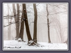 Nebel auf dem Weyerberg