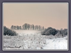 Pennigbütteler Moor - eingeschneit im Morgennebel