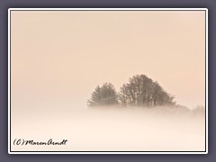 Pennigbütteler Moor - watteweicher Morgennebel